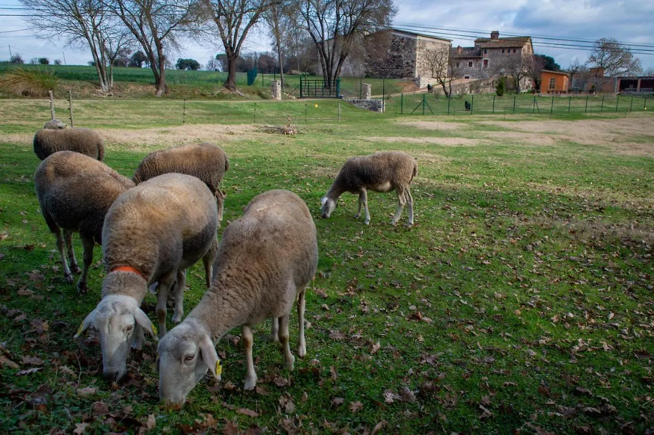 Δωμάτια σε οικογενειακή κατοικία Mas Teixidor, Masia Entre Girona Y La Costa Brava Caldes de Malavella