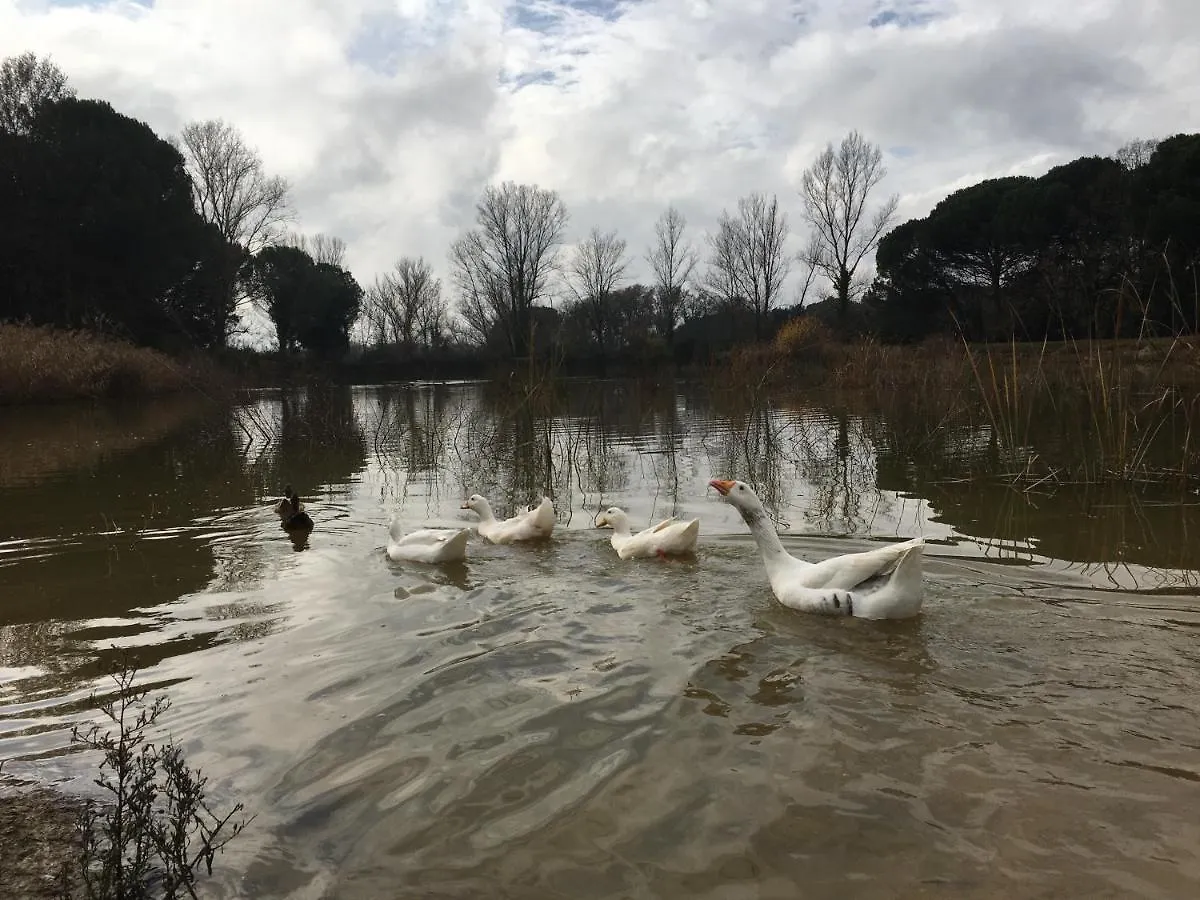 Mas Teixidor, Masia Entre Girona Y La Costa Brava Caldes de Malavella Španělsko